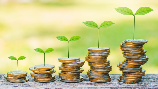 Stacks of coins with plants growing from them